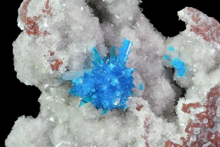 Vibrant Blue Cavansite Cluster on Stilbite - India #67803